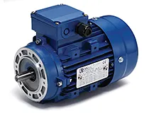 Induction Motors